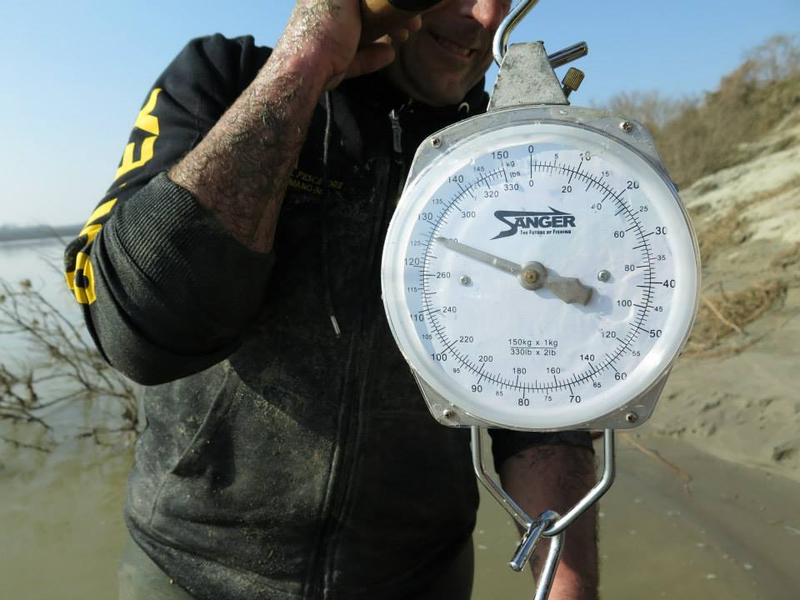 Illustration for article titled Monster 280-pound catfish caught in Italy